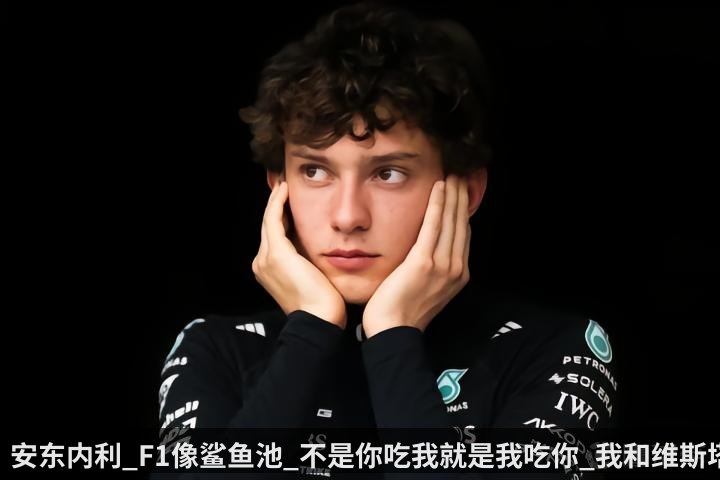 安东内利_F1像鲨鱼池_不是你吃我就是我吃你_我和维斯塔潘很好