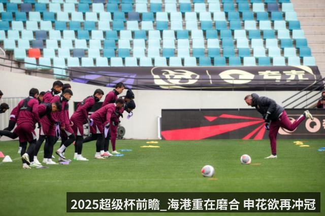 2025超级杯前瞻_海港重在磨合 申花欲再冲冠